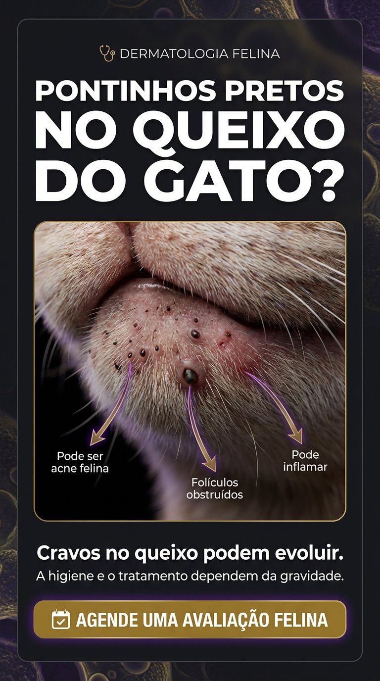 Story Dermato Vet