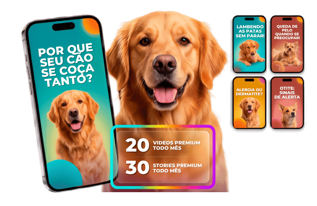 Mockup Dermatologia Veterinária